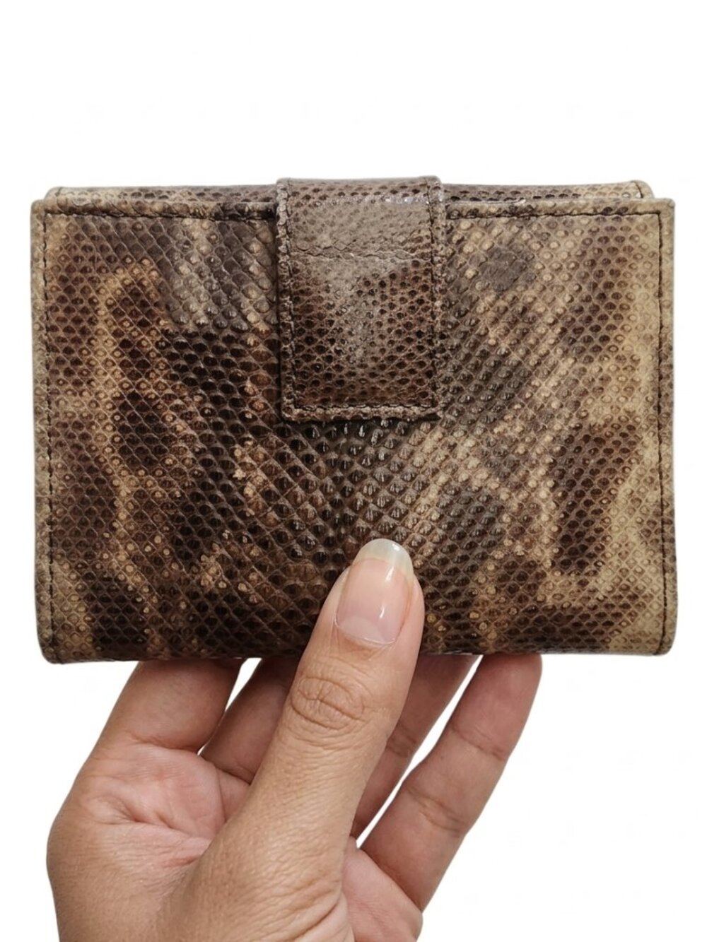 Marni Italy Snake Leather Bifold Wallet Box Dust Bag